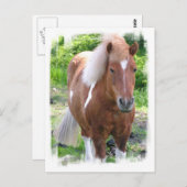 Entwurf der Pferdepiste Postkarte (Vorne/Hinten)