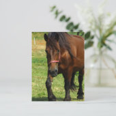 Entwurf der Pferdepiste Postkarte (Stehend Vorderseite)