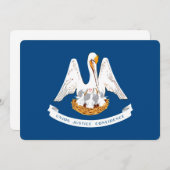 Entwurf der Staatsflagge in Louisiana (Vorne/Hinten)