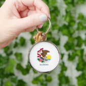 Entwurf der Staatsflagge von Illinois Schlüsselanhänger (Hand)