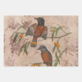 Entwurf der Vogelserie fünf Geschenkpapier Set (Vorderseite 2)