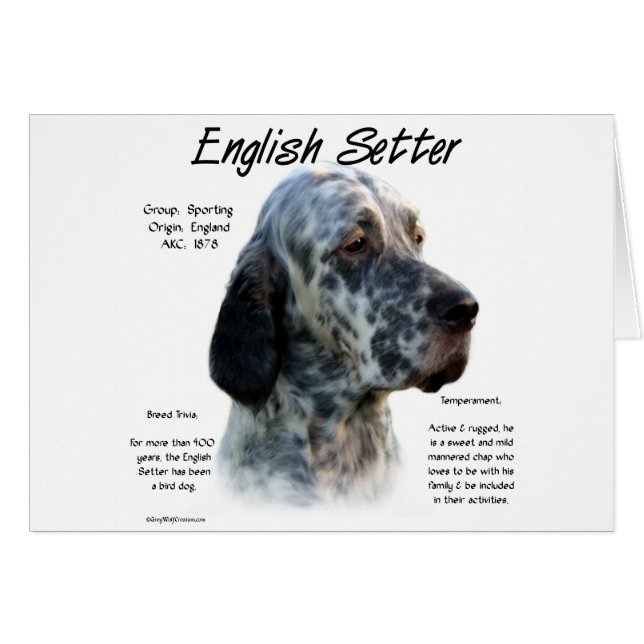 Entwurf des Historizentwurfs für englische Setter (Vorderseite (Horizontal))