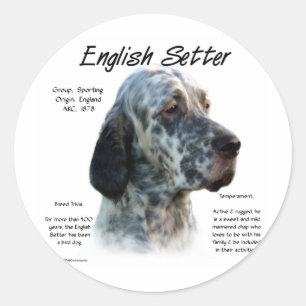 Entwurf des Historizentwurfs für englische Setter Runder Aufkleber