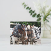 Entwurf des Pferdeteams Vielen Dank Postkarte (Stehend Vorderseite)