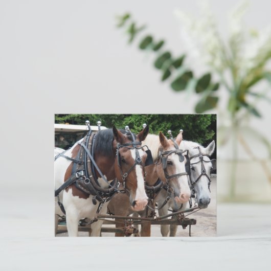 Entwurf des Pferdeteams Vielen Dank Postkarte (Stehend Vorderseite)