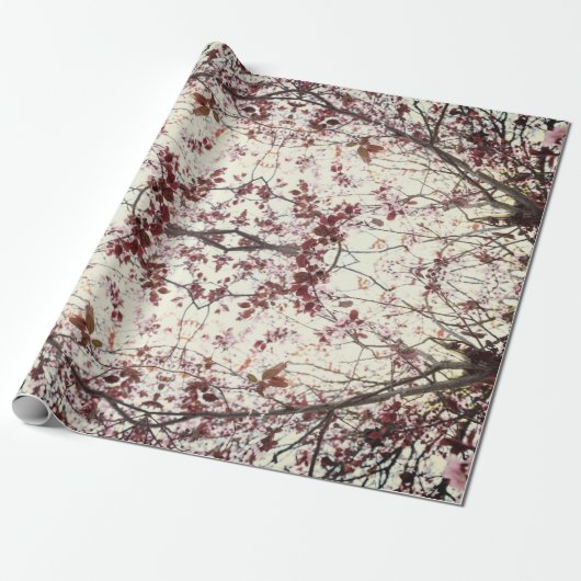 Entwurf des Schleifpapiers "Cherry Blossom" 2 Geschenkpapier (Ungerollt)