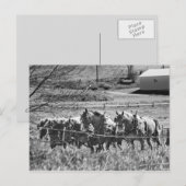 Entwurf des Teams bei der Arbeit Postkarte (Vorne/Hinten)