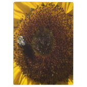 Entwurf einer eigenen Zwischenablage Klemmbrett (Rückseite)