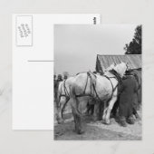 Entwurf einer Pferdeauktion in den 30er Jahren Postkarte (Vorne/Hinten)