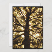 Entwurf eines eigenen Vorlagenbaums für Ländereinl Einladung (Rückseite)