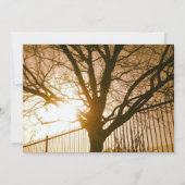 Entwurf eines eigenen Vorlagenbaums für Ländereinl Einladung (Rückseite)