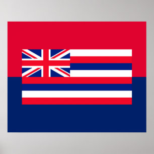 Entwurf eines Flaggenstaates in Hawaii Poster