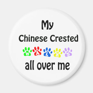 Entwurf für chinesisch entworfene Spaziergänge Magnet