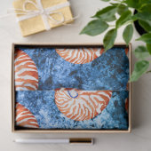 Entwurf für nautische Waagen 4 Seidenpapier (Geschenk)