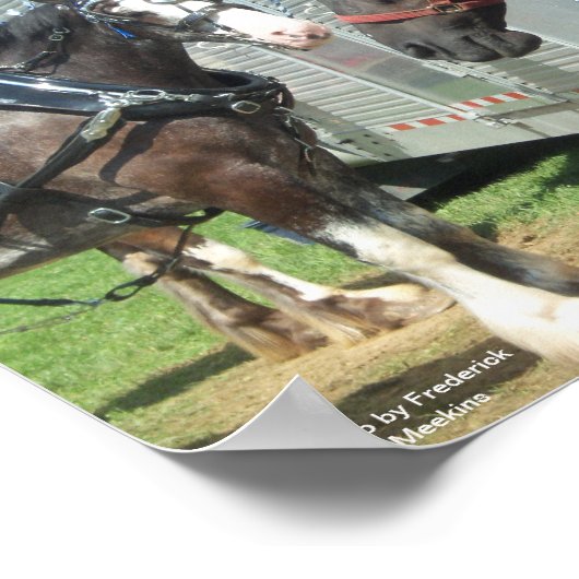 Entwurf für Pferd Duo Poster (Ecke)