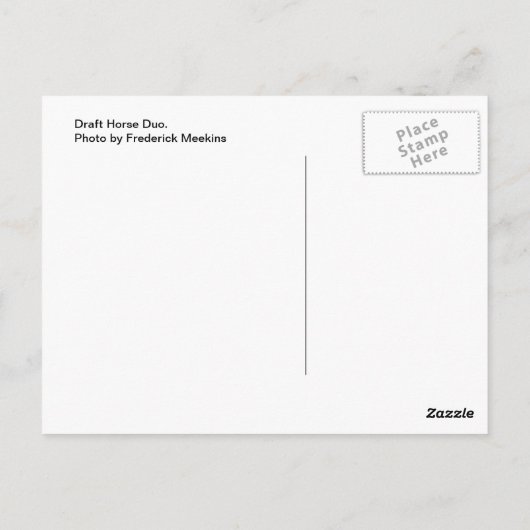 Entwurf für Pferd Duo Postkarte (Rückseite)