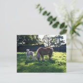 Entwurf Mare mit Foal Postkarte (Stehend Vorderseite)