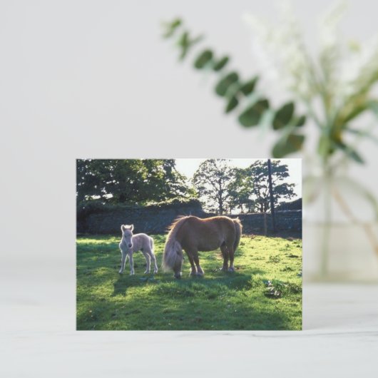 Entwurf Mare mit Foal Postkarte (Stehend Vorderseite)