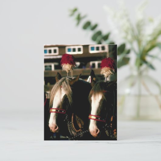 Entwurf Pferd Tandem Postkarte (Stehend Vorderseite)