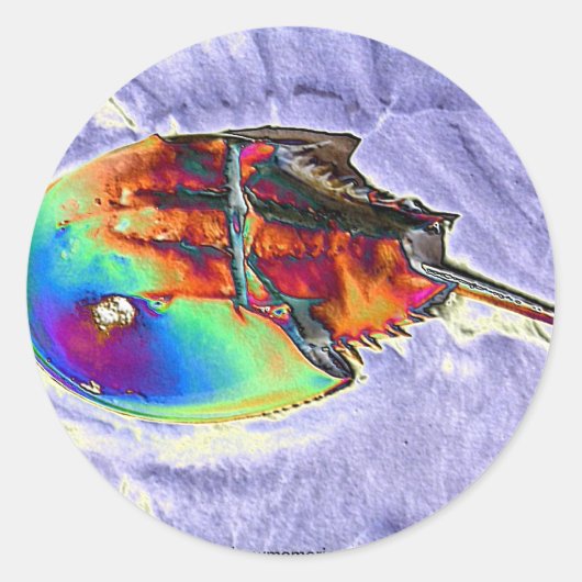 Entwurf von Horseshoe Crab Foil Runder Aufkleber (Vorderseite)