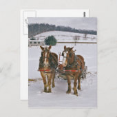 Entwurf von Pferden im Winter Postkarte (Vorne/Hinten)