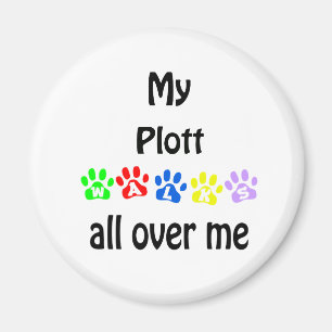 Entwurf von Plotten Magnet