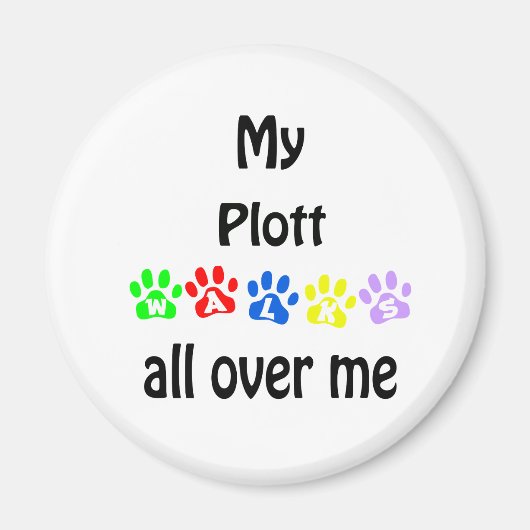 Entwurf von Plotten Magnet (Vorne)