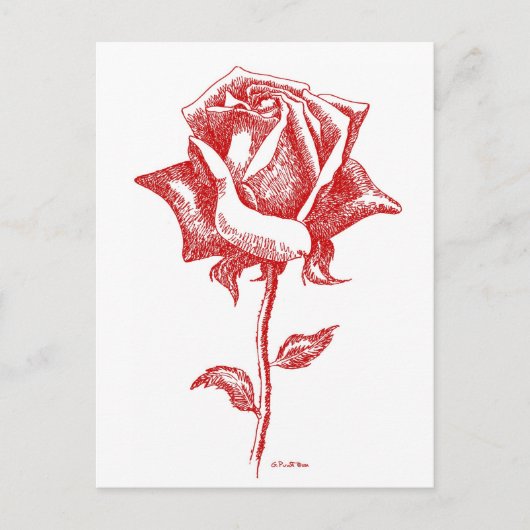 Entwürfe für rote Rosen Postkarte (Vorderseite)
