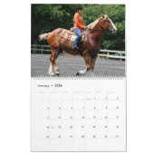 ENTWURFS-PFERDE KALENDER (Jan 2026)