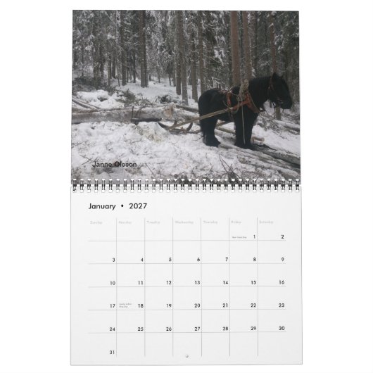 Entwurfs-Pferdefreundkalender Kalender (Jan 2027)