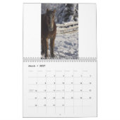 Entwurfs-Pferdekalender #3 Kalender (Mär 2027)