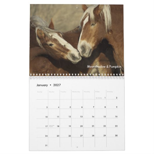 Entwurfs-Pferdekalender #3 Kalender (Jan 2027)
