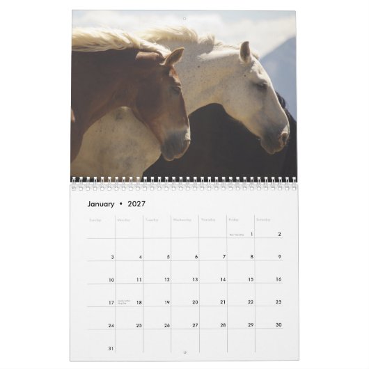 Entwurfs-Pferdekalender #4 Kalender (Jan 2027)