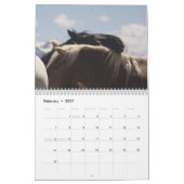 Entwurfs-Pferdekalender #4 Kalender (Feb 2027)