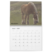 Entwurfs-Pferdekalender #5 Kalender (Mär 2027)