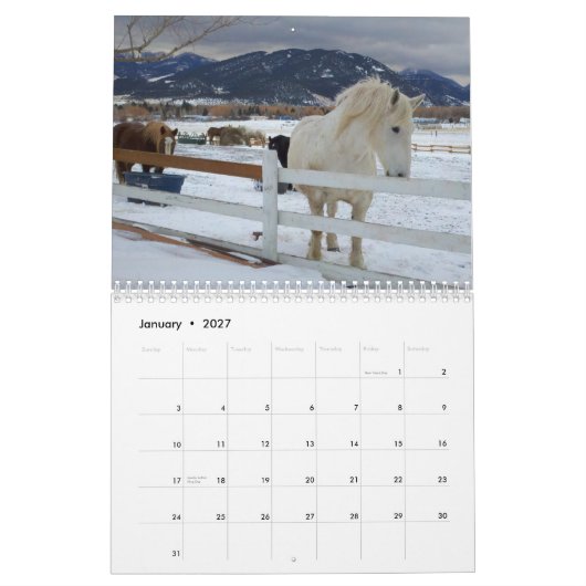 Entwurfs-Pferdekalender #5 Kalender (Jan 2027)