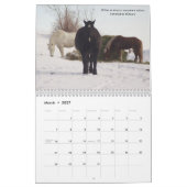 Entwurfs-Pferdekalender (motivierend) #6 Kalender (Mär 2027)