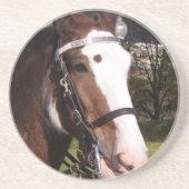 Entwurfs-Pferderettungs-Untersetzer Getränkeuntersetzer (Vorne)