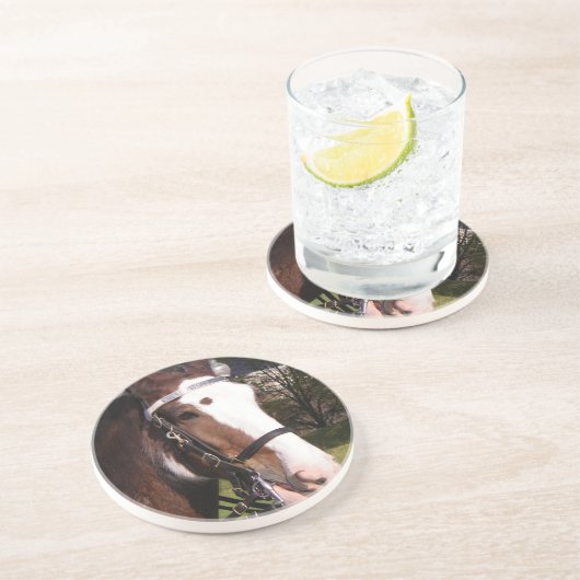 Entwurfs-Pferderettungs-Untersetzer Getränkeuntersetzer (Seite)