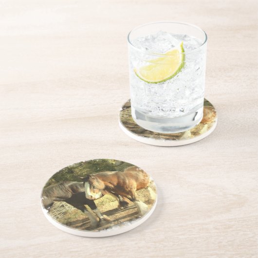 Entwurfs-PferdeUntersetzer Getränkeuntersetzer (Seite)