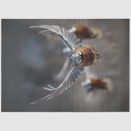 Entzifferung von Vögeln im Flug Seidenpapier (Vorderseite)