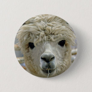 Entzückend Button