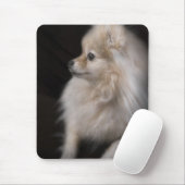Entzückend niedlicher aufwerfenSpitz-Welpe Mousepad (Mit Mouse)