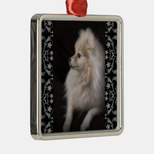 Entzückend niedlicher aufwerfenSpitz-Welpe Silbernes Ornament (Rechts)