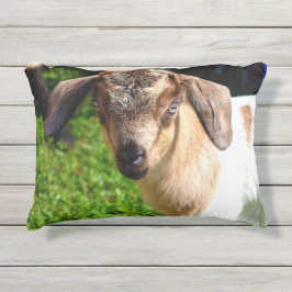 Entzückende Baby-Ziege Kissen Für Draußen