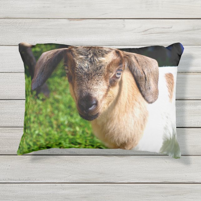 Entzückende Baby-Ziege Kissen Für Draußen (Rückseite)