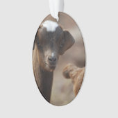 Entzückende Baby-Ziege Ornament (Vorderseite)