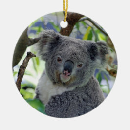 Entzückende Babykoala Weihnachtsverzierung Keramik Ornament