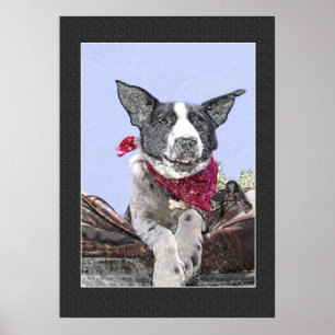 Entzückende Border-Collie Heeler Poster