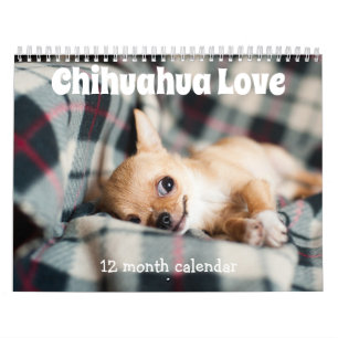Entzückende Chihuahua-Hunde 2027 Kalender